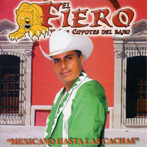 Homenaje a los Tigres