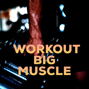 Upper Body