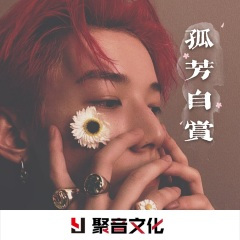 动感开场 (DJ版)