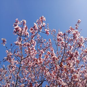 Tu Y Yo Charlando De Amor