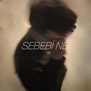 Sebebi Ne