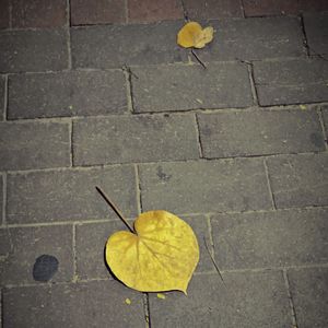 我还是找不到你