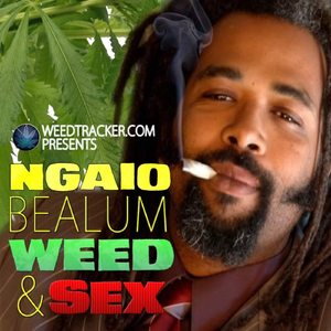 Let's Talk About Sex - the Internet (Live)