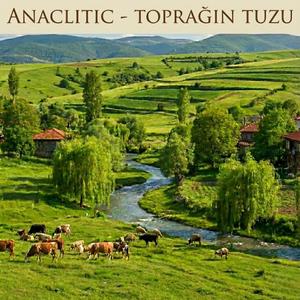 Toprağın Tuzu