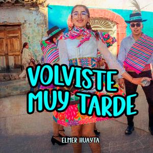 Volviste Muy Tarde