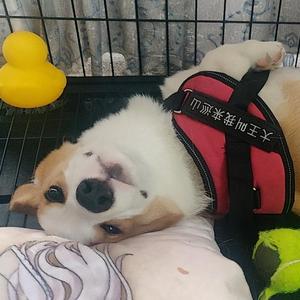 拯救自己(prod by Veezy )