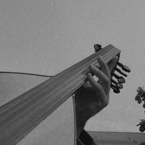 Moonlight Over Damascus