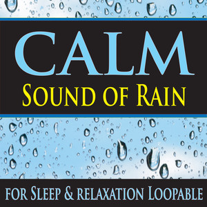 Sleepy Windshield Wiper Rain Rhythm