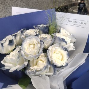 月光总会落在你身上