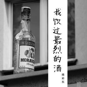 我饮过最烈的酒