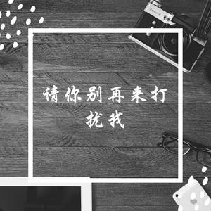 我已不是当年的我 (Dj版)