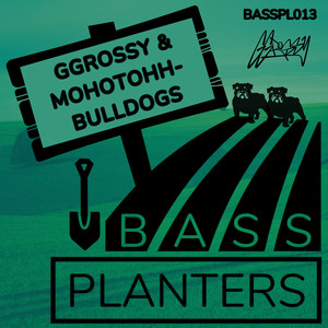 Bulldogs (Original Mix)