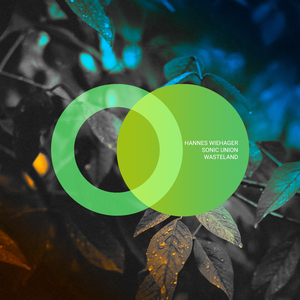 Wasteland (Original Mix)