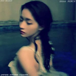 улетали птицами гордыми（bhnn remix）