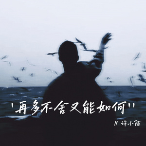 再多不舍又能如何