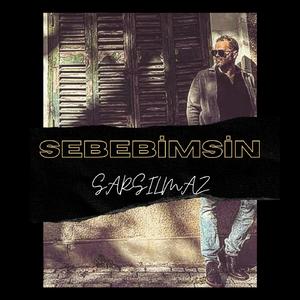 Sebebimsin