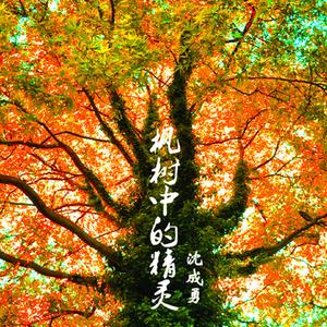 枫树中的精灵