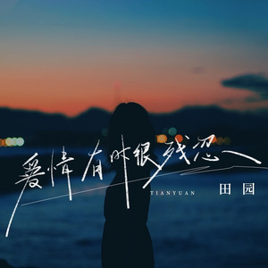 爱情有时很残忍 (DJ九零版)