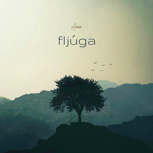 Fljúga