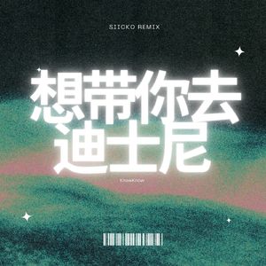想带你去迪士尼(Siicko Remix)