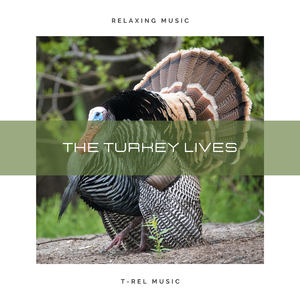 Please Mr. President Save the Best Turkey