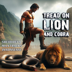 No Harm Will Overtake You