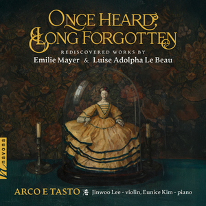 Violin Sonata in F Major, Op. 17: I. Andante. Allegro non troppo, cantabile
