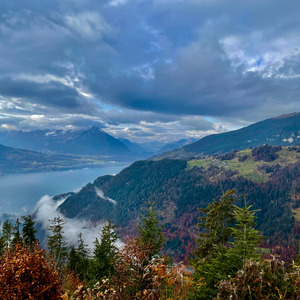 I Should've Known (Pure Mix)