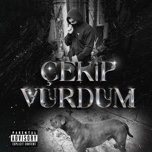 ÇEKİP VURDUM