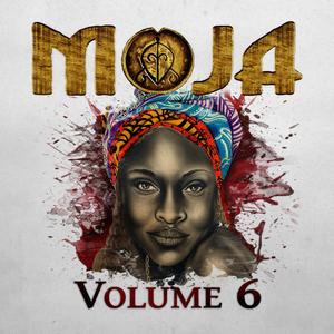 Never Knew What You Had (feat. Oli Brown & Litza)