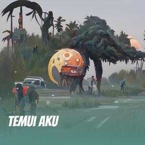 Temui aku