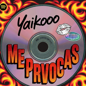 ME PROVOCAS