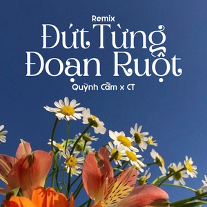 Đứt Từng Đoạn Ruột (Remix)