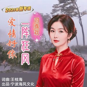 爱情好像一阵狂风