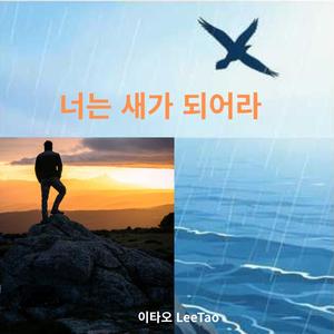 너는 새가 되어라