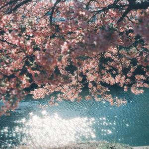 花影之旅 ～ Lapis Memories