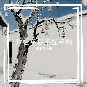 我在乎你不在乎的