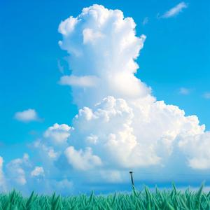 风中的蒲公英(钢琴曲版)