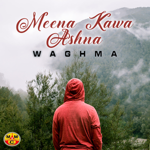 Meena Kawa Ashna Da Meene