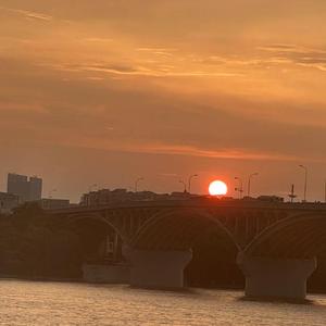 我也不知道是谁杀了他