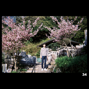 ミッシングリンク