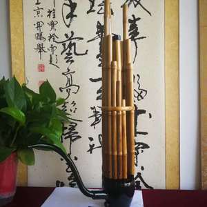 南城花落（笙 徐辉）（翻自 王琪）