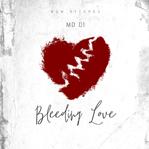 Bleeding Love (Radio Edit)