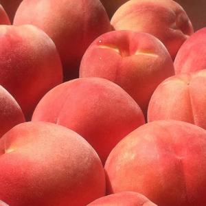 这不是一首小情歌