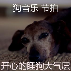 抚慰的训练你的狗回忆