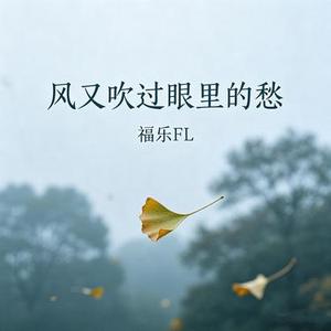 风又吹过眼里的愁