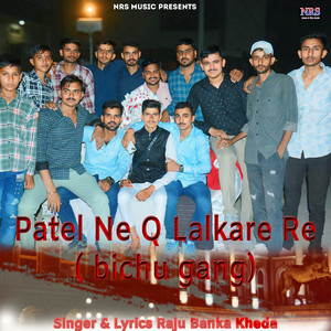 Patel Ne Q Lalkare Re ( bichu gang)