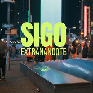 SIGO EXTRAÑANDOTE