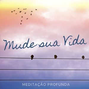 Notas de Relaxamento