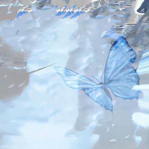 我曾遇到一束光